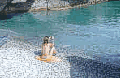 Vritomartis hotel & bungalows, Sfakia, Crete - Quality Naturist Resort